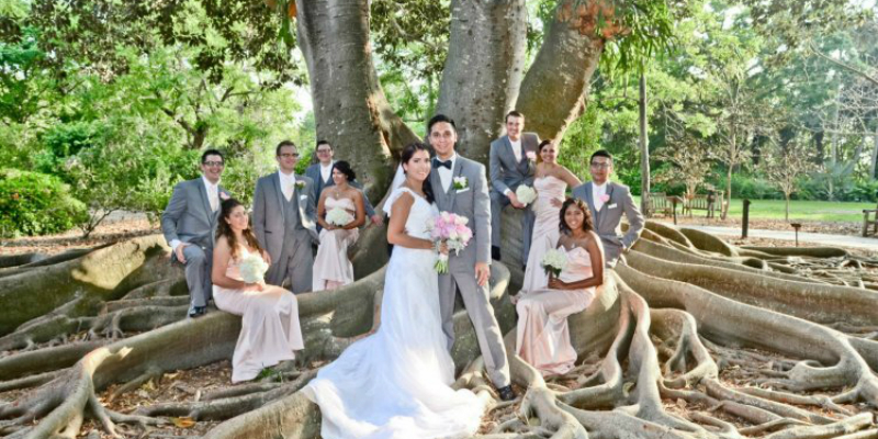 свадьба, свадебные пары, необычное дерево
